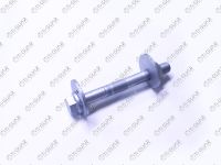 Комплект эксцентрика TG-48190-34010 TiGuar